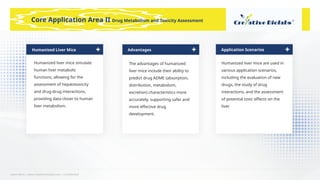Learn More | www.creative-biolabs.com | Confidential
The advantages of humanized
liver mice include their ability to
predict drug ADME (absorption,
distribution, metabolism,
excretion) characteristics more
accurately, supporting safer and
more effective drug
development.
Core Application Area II Drug Metabolism and Toxicity Assessment
Humanized Liver Mice
Humanized liver mice simulate
human liver metabolic
functions, allowing for the
assessment of hepatotoxicity
and drug-drug interactions,
providing data closer to human
liver metabolism.
Advantages Application Scenarios
Humanized liver mice are used in
various application scenarios,
including the evaluation of new
drugs, the study of drug
interactions, and the assessment
of potential toxic effects on the
liver.
 
