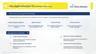 Learn More | www.creative-biolabs.com | Confidential
Accelerate Clinical Translation
Bridge preclinical ﬁndings with
personalized clinical approaches
Optimize Treatment Regimens
Select best combination of therapies for
individual patients
Guide Clinical Drug Use
Predict eﬃcacy and toxicity in speciﬁc
patient populations
Avoid Unnecessary Side Eﬀects
Reduce exposure to ineﬀective or toxic
therapies
Core Application Area III Personalized Drug Therapy
Patient-Derived Xenograft (PDX) Models
Transplant patient tumor tissues into immunodeﬁcient mice as "surrogates" for personalized medicine applications.
Patient Sample Collection
Tumor tissue from consenting
patients
Model Creation
Tissue transplantation into
immunodeﬁcient mice
Drug Screening
Test candidate therapies on
tumor "avatars"
Clinical Decision
Guide treatment based on
model responses
Key Applications & Beneﬁts
 