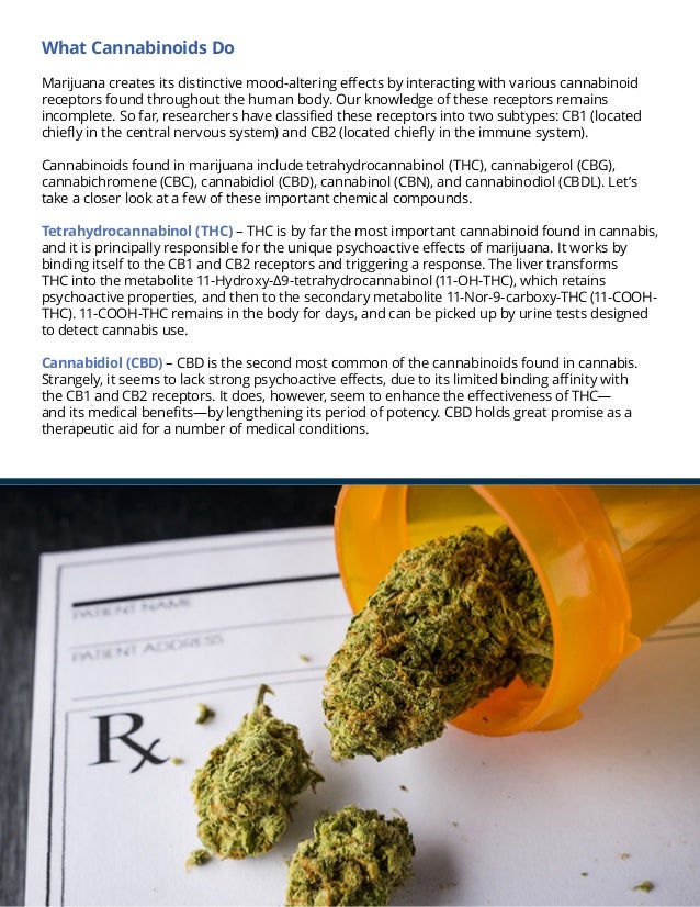 the science behind medical marijuana