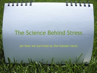 The science behind stress