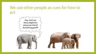 We use other people as cues for how to
act
 