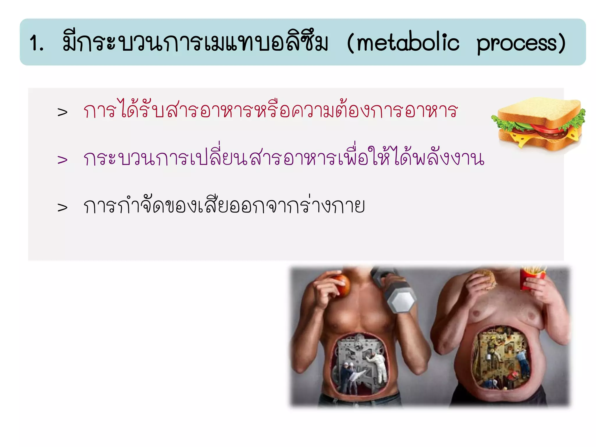 > การได้รับสารอาหารหรือความต้องการอาหาร
> กระบวนการเปลี่ยนสารอาหารเพื่อให้ได้พลังงาน
> การกาจัดของเสียออกจากร่างกาย
 