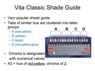 Vita Classic Shade Guide Very popular shade guide Tabs of similar hue are clustered into letter groups A (red-yellow)  B (yellow) C (grey)  D (red-yellow-gray) Chroma is designated with numerical values A3 = hue of  red-yellow , chroma of  3 A  B   C  D 