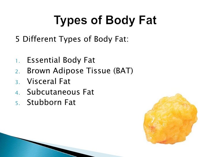 The Science of How We Burn Fat and Metabolism