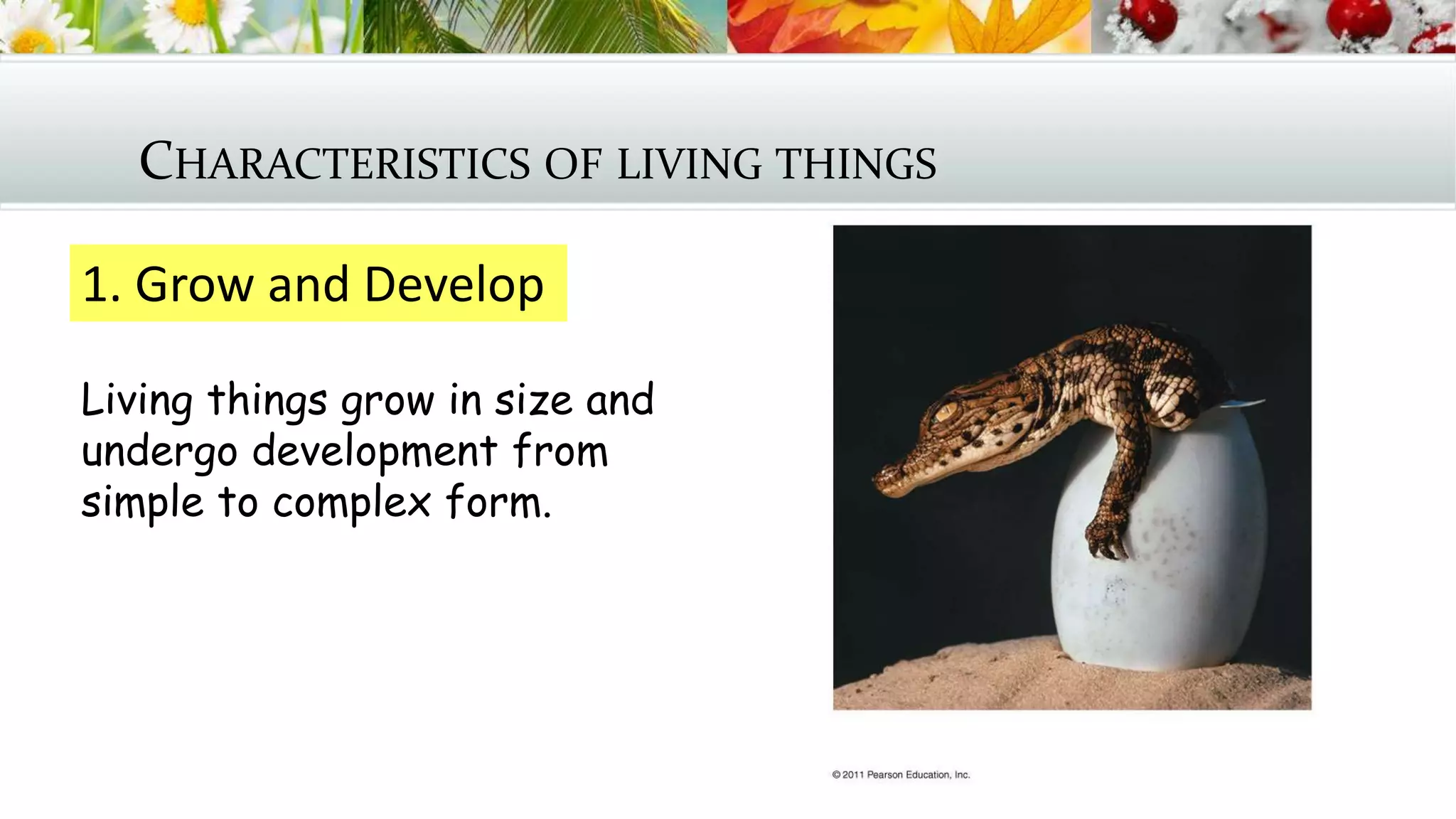 CHARACTERISTICS OF LIVING THINGS
1. Grow and Develop
Living things grow in size and
undergo development from
simple to complex form.
 