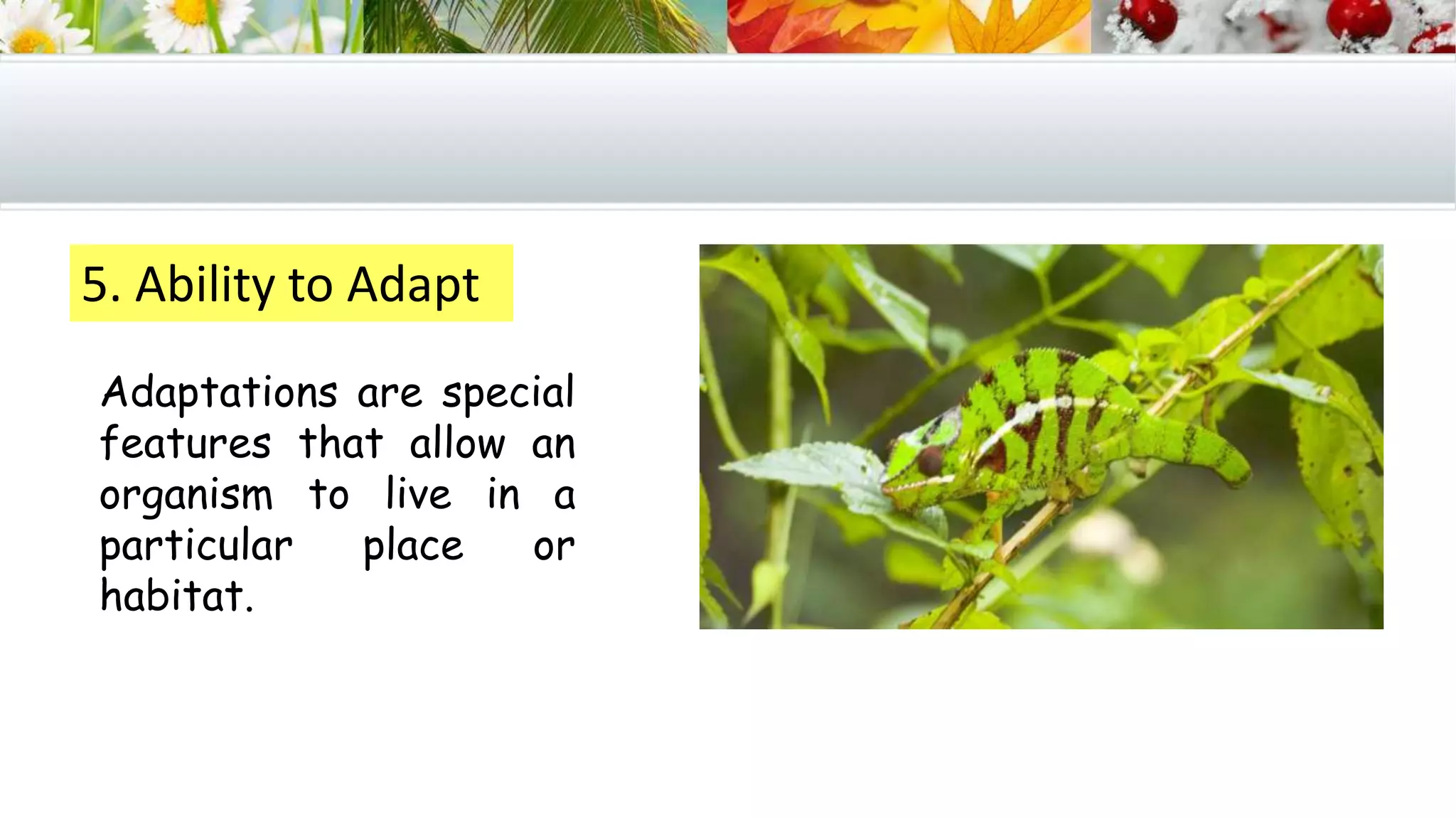 5. Ability to Adapt
Adaptations are special
features that allow an
organism to live in a
particular place or
habitat.
 