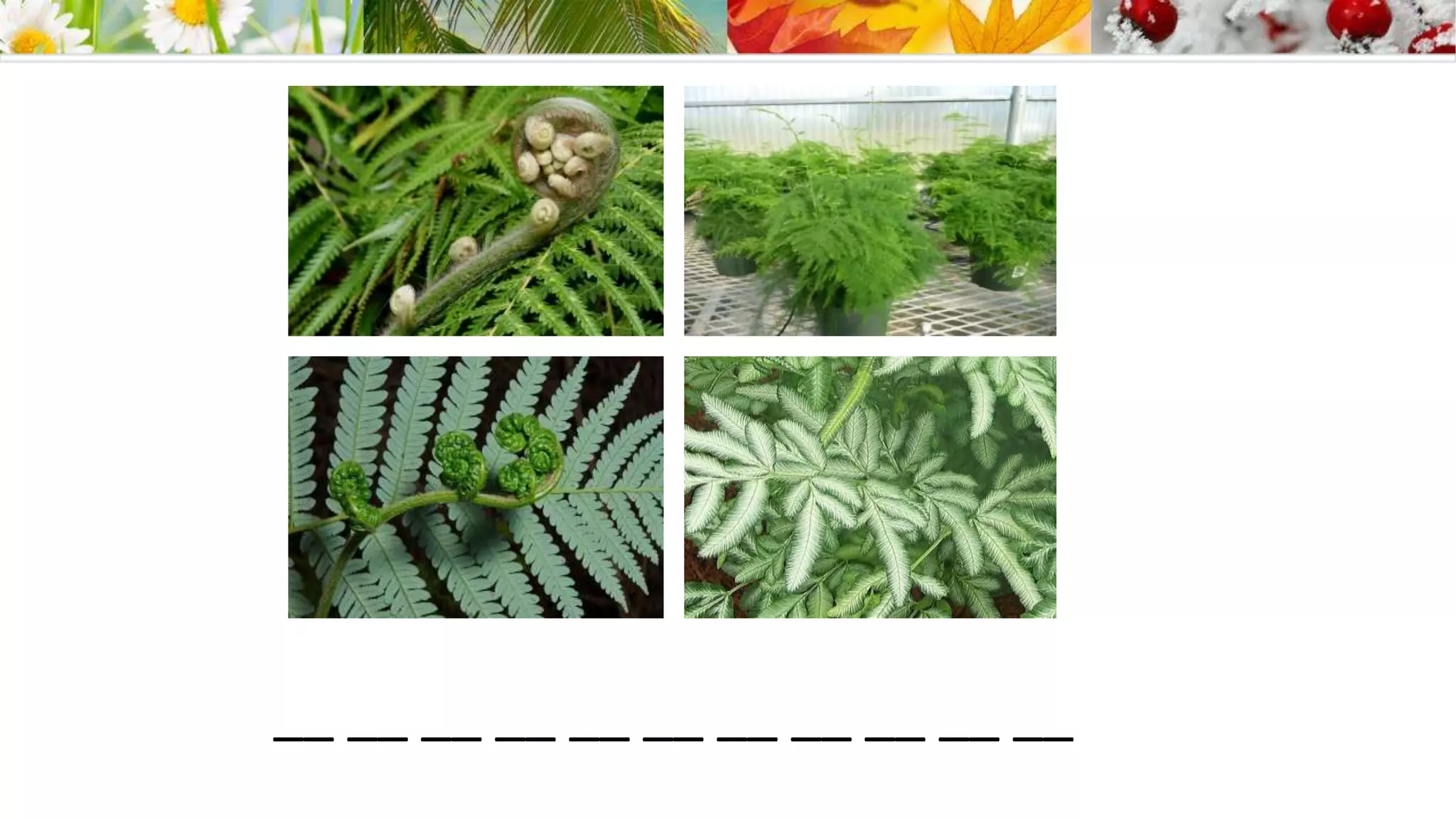 __ __ __ __ __ __ __ __ __ __ __
 