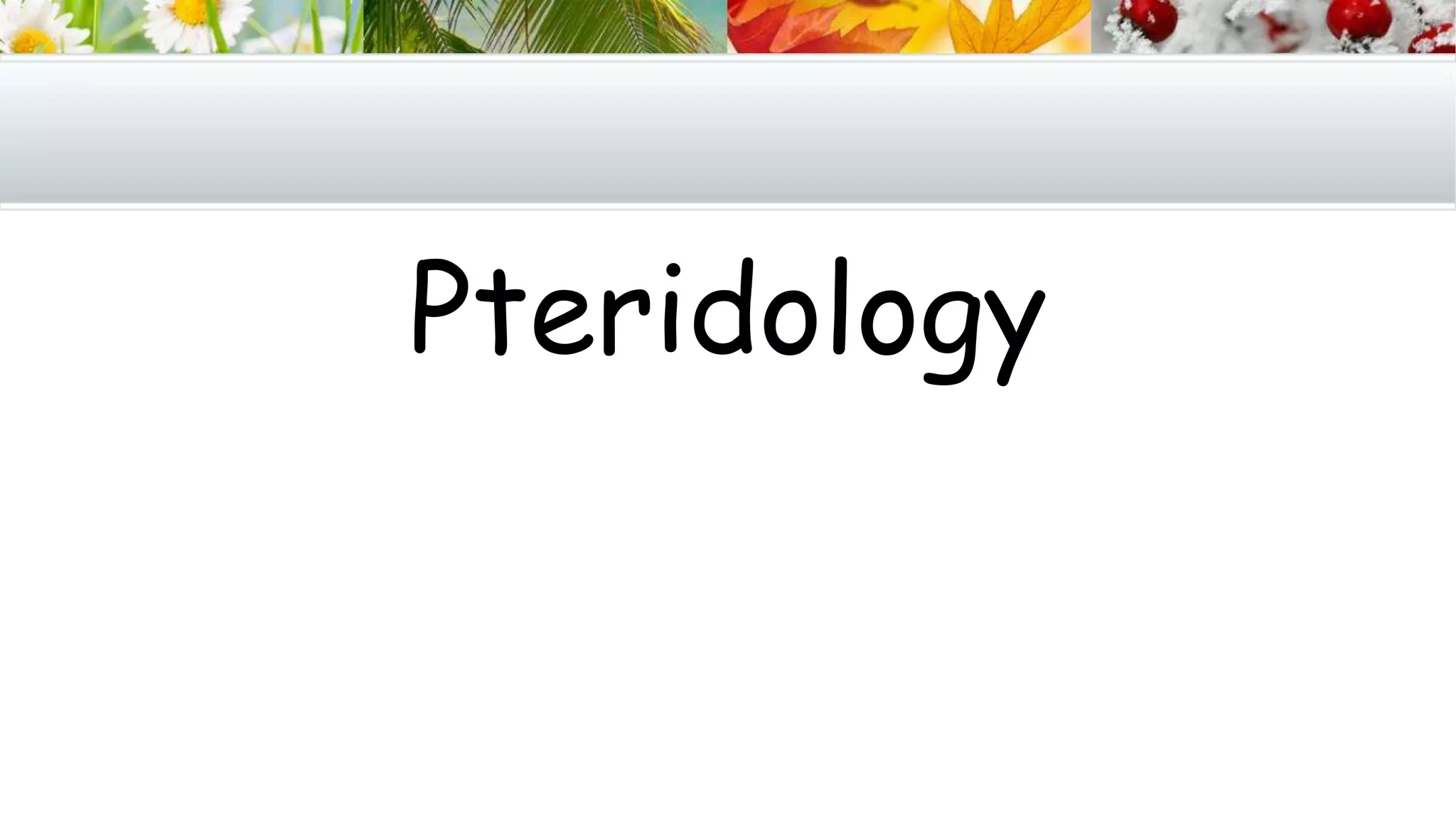 Pteridology
 