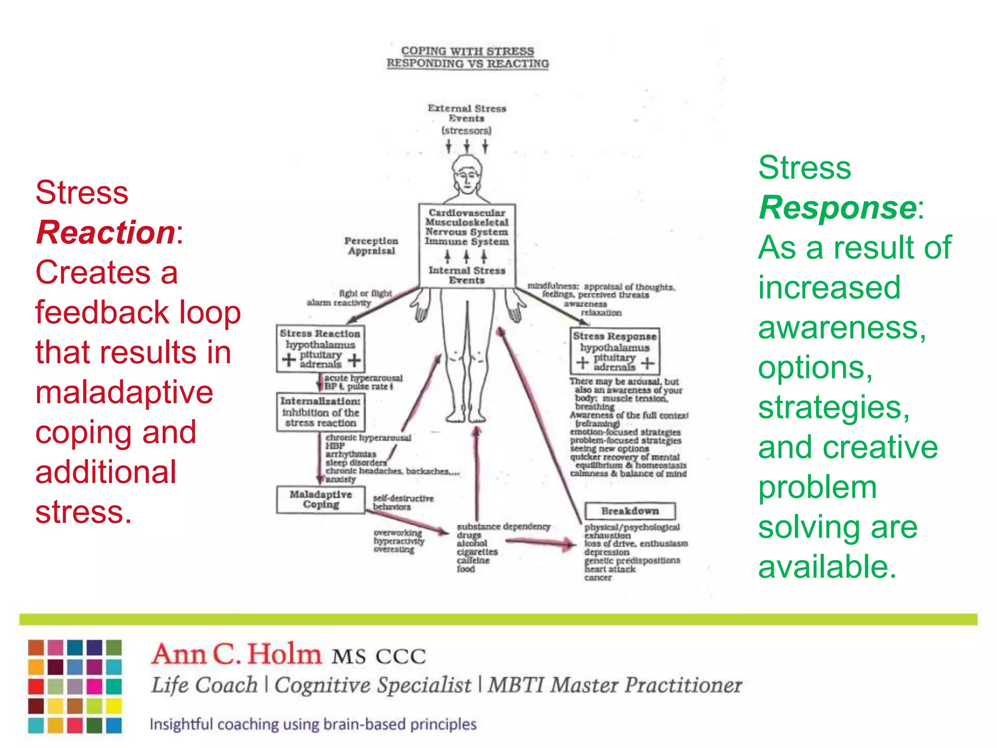 The brain is active!