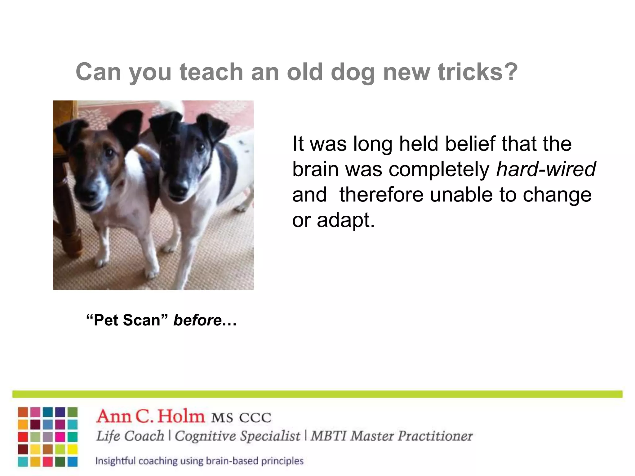 Can you teach an old dog new tricks?It was long held belief that the brain was completely hard-wired and therefore unable to change or adapt.“Pet Scan” before…
