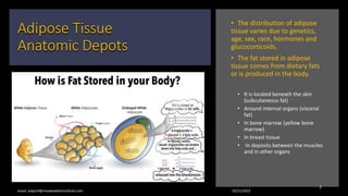 The Science of the Subcutneous Adipose Tissue.pptx
