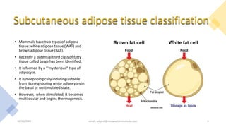 The Science of the Subcutneous Adipose Tissue.pptx