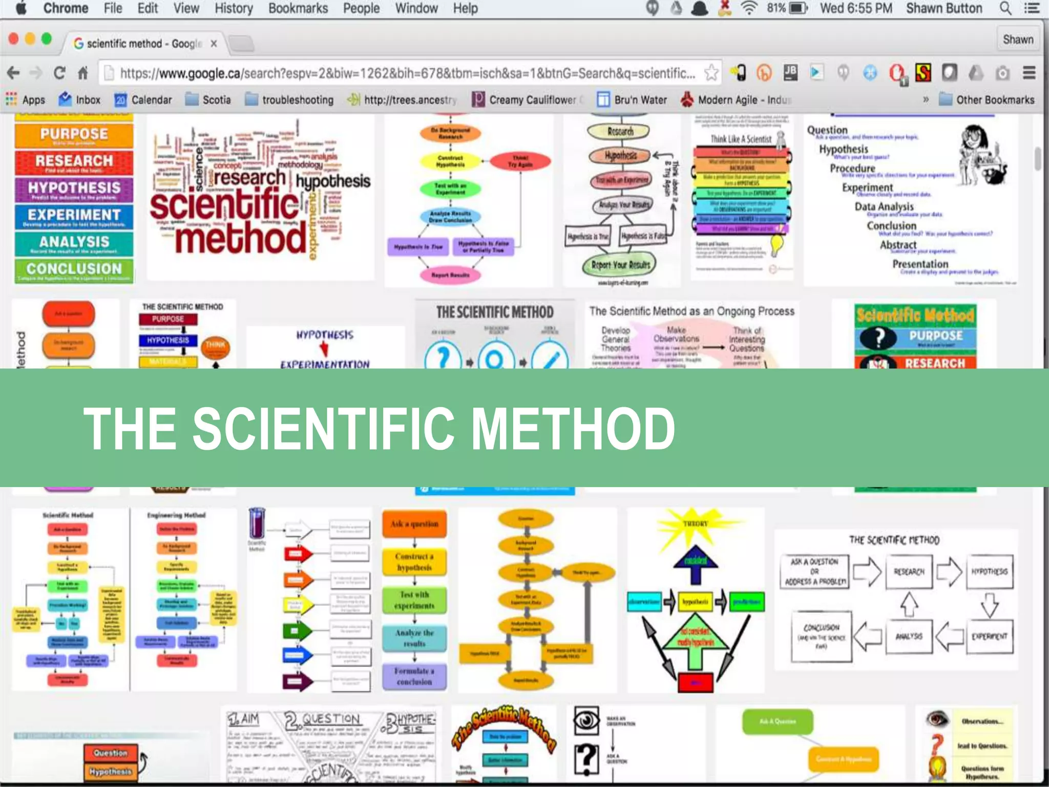 THE SCIENTIFIC METHOD
 