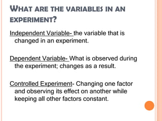 The Scientific Method | PPTX