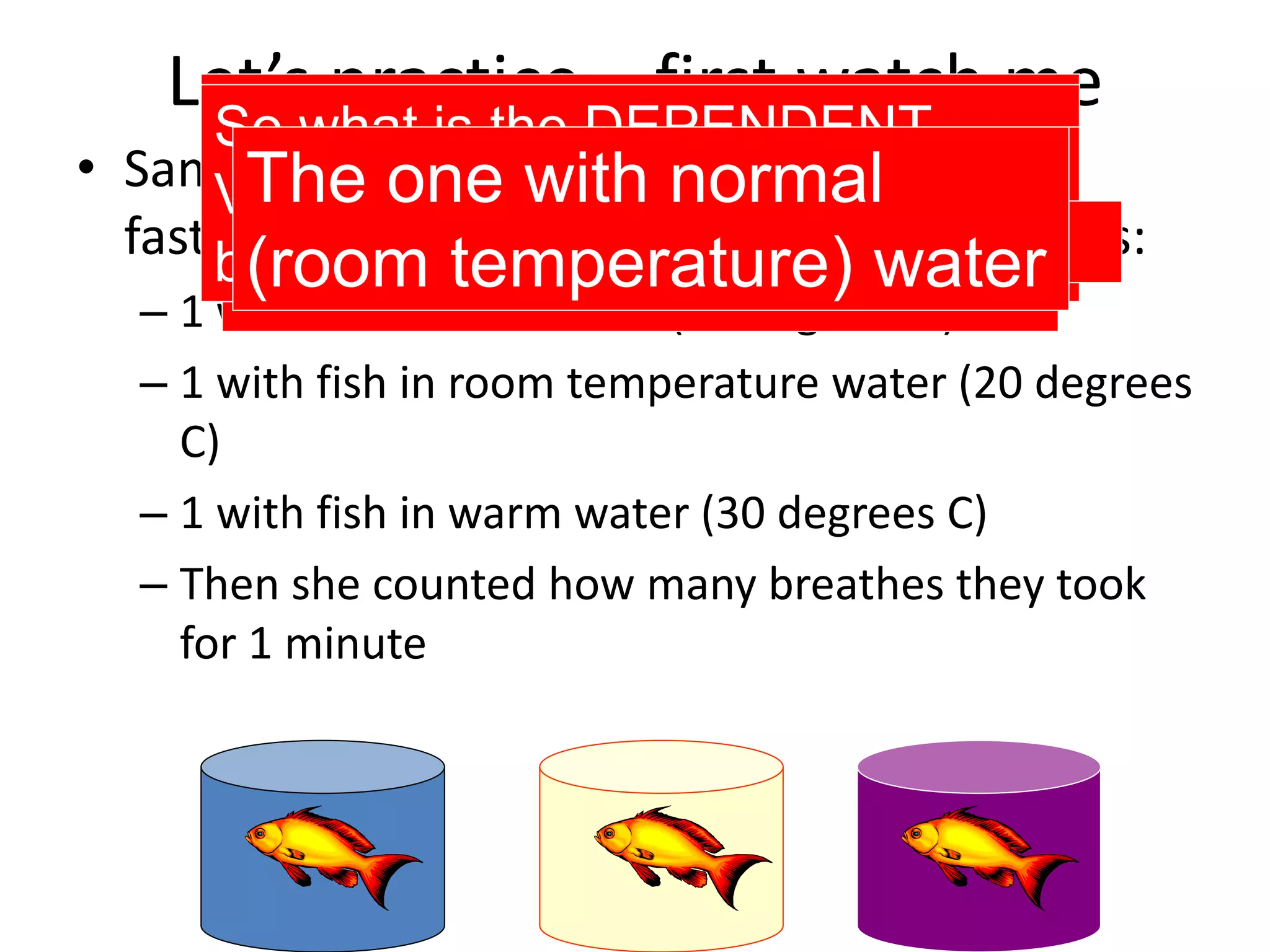 Let’s practice – first watch me
• Samantha wanted to know if fish breathe
faster in warm water. She set up three tanks:
– 1 with fish in cold water (10 degrees C)
– 1 with fish in room temperature water (20 degrees
C)
– 1 with fish in warm water (30 degrees C)
– Then she counted how many breathes they took
for 1 minute
So what is the INDEPENDENT
VARIABLE? (the one thing that is
different?)
The temperature of the
water
So what is the DEPENDENT
VARIABLE? (the thing that is
being measured?)
The number of breaths
Which tank is the control tank?
The one with normal
(room temperature) water
 