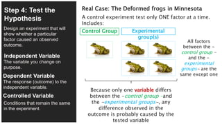 4/27
Design an experiment that will
show whether a particular
factor caused an observed
outcome.
Real Case: The Deformed frogs in Minnesota
A control experiment test only ONE factor at a time.
Includes:
Step 4: Test the
Hypothesis
Experimental
group(s)
Control Group
All factors
between the -
control group -
and the -
experimental
groups- are the
same except one
Because only one variable differs
between the -control group -and
the -experimental groups-, any
difference observed in the
outcome is probably caused by the
tested variable
Independent Variable
Dependent Variable
Controlled Variable
The variable you change on
purpose.
The response (outcome) to the
independent variable.
Conditions that remain the same
in the experiment.
 