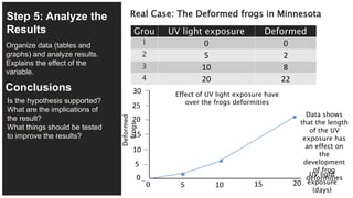 4/27
Organize data (tables and
graphs) and analyze results.
Explains the effect of the
variable.
Real Case: The Deformed frogs in MinnesotaStep 5: Analyze the
Results Grou UV light exposure Deformed
1 0 0
2 5 2
3 10 8
4 20 22
20151050
30
0
15
10
5
20
25
UV light
exposure
(days)
Deformed
frogs
Effect of UV light exposure have
over the frogs deformities
Data shows
that the length
of the UV
exposure has
an effect on
the
development
of frog
deformities
Conclusions
Is the hypothesis supported?
What are the implications of
the result?
What things should be tested
to improve the results?
 