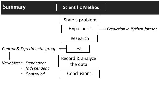 scientific method format