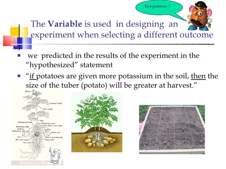 The Scientific Method 2011 acloutier copyright 2011