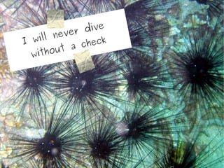 dive
          ev er
I w il l n       he c k
           t a c
  withou
 