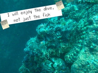 dive,
             y the
I wil l enjo
                   fish
       t just th e
  no
 