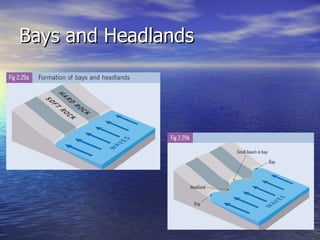 Bays and Headlands 