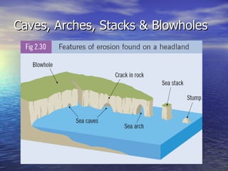 Caves, Arches, Stacks & Blowholes 