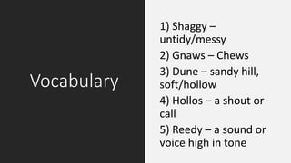 Vocabulary
1) Shaggy –
untidy/messy
2) Gnaws – Chews
3) Dune – sandy hill,
soft/hollow
4) Hollos – a shout or
call
5) Reedy – a sound or
voice high in tone
 