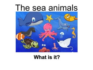 The sea animals

What is it?

 