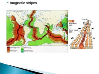  magnetic stripes
 