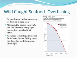 Wild Caught Seafood- Overfishing <ul><ul><ul><li>Ocean fish are the last creatures we hunt on a large scale </li></ul></ul...