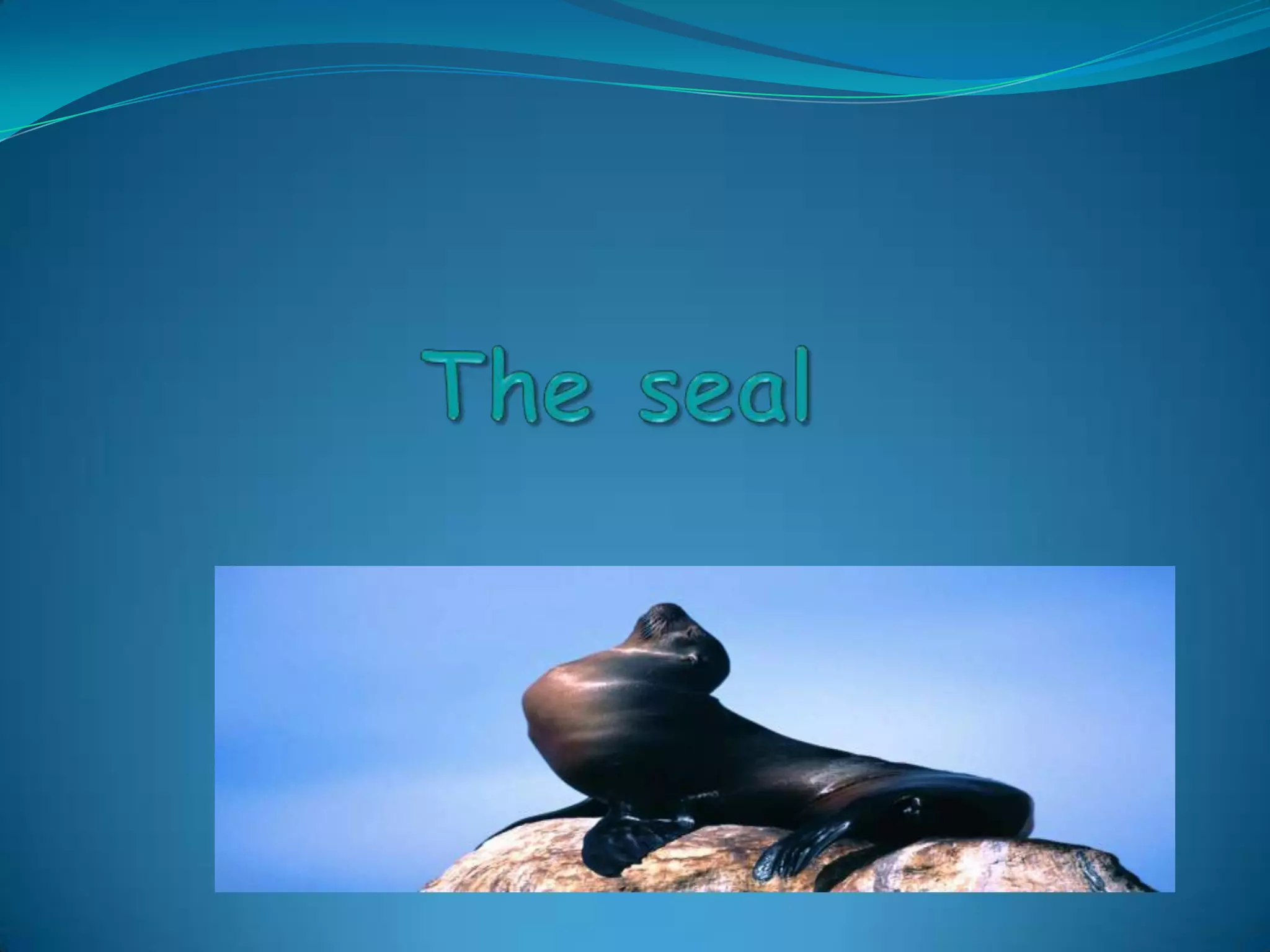 the-seal-ppt