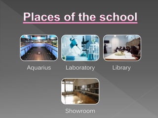 Aquarius Laboratory Library
Showroom