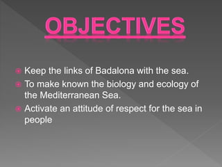  Keep the links of Badalona with the sea.
To make known the biology and ecology of
the Mediterranean Sea.
Activate an attitude of respect for the sea in
people