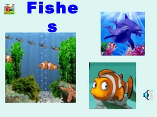 Fishes 