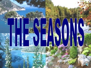 THE SEASONS 