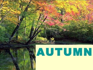 AUTUMN   