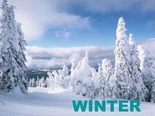 WINTER   