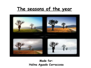 The seasons of he year. halina aguado carrascosa