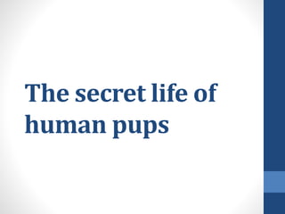 The secret life of
human pups
 