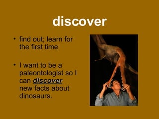 The Secret Life Of Trees | PPT