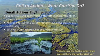 The Secret Role of Wetlands in Fighting Climate Change.pdf