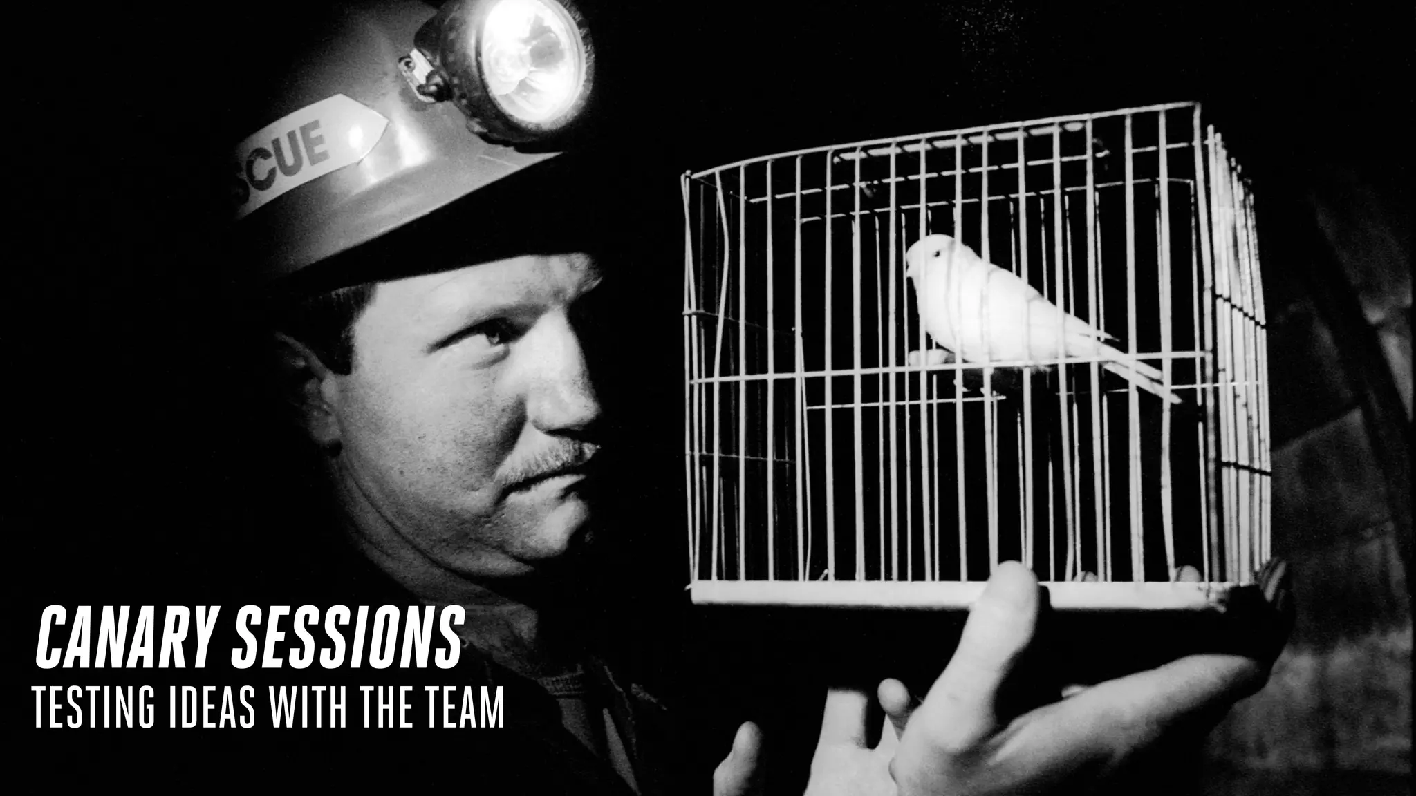 CANARYSESSIONS
TESTING IDEAS WITH THE TEAM
 