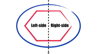 48
Left-side Right-side
 