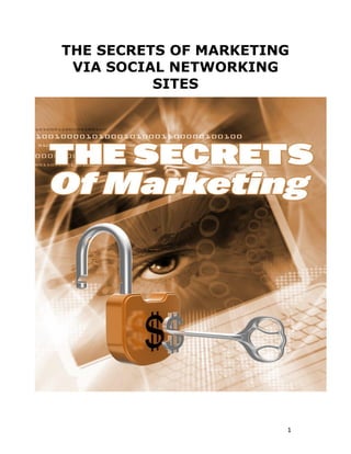 1
THE SECRETS OF MARKETING
VIA SOCIAL NETWORKING
SITES
 