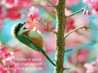 When it is time to spend, just spend, treat yourself well as you’re getting old.  