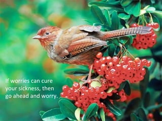 If worries can cure your sickness, then go ahead and worry.  