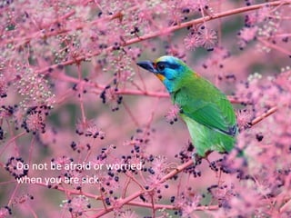 Do not be afraid or worried
when you are sick.
 