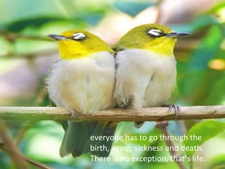 everyone has to go through the
birth, aging, sickness and death.
There is no exception, that’s life.
 