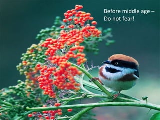 Before middle age –
Do not fear!
 